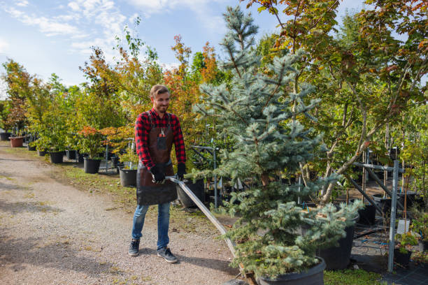  Prairie Ridge, WA Tree Service Pros